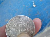 DSC01910.JPG