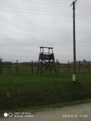 IMG_20180415_113021.jpg