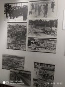 IMG_20180415_160219.jpg
