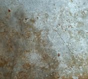 IMG_20180411_094554.jpg