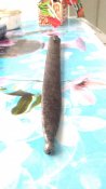 IMG_20180416_130037.jpg