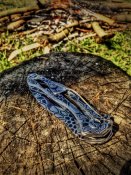 IMG_2344.JPG