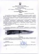 Сапсан.jpg
