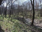 DSCN2558.JPG