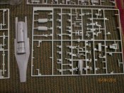 IMG_4687.JPG