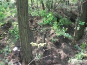 100_3529.jpg