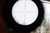 DSC_0462.JPG