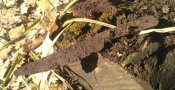 IMG_20180409_165221.jpg