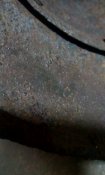 IMG_20180419_102506.jpg