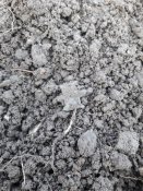 20180407_120724.jpg
