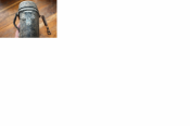9.png