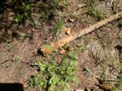 2012-05-06-294.jpg