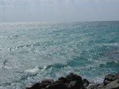 IMG_9263.jpg