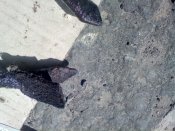 IMG_20180418_120644.jpg
