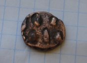 DSC09844.JPG