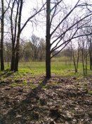 IMG_20180421_100405.jpg