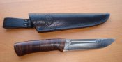 DSC03554.jpg