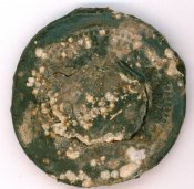 1234-1.jpg