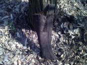 09042012175.jpg