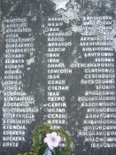 1-07.jpg