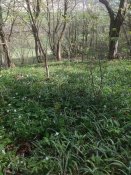 IMG_20180415_132644_1.jpg