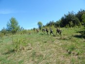 DSCN3883.JPG