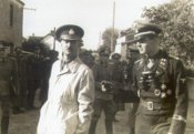 M,W.jpg