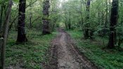 IMG_20180425_184909.jpg