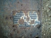DSC00621.jpg