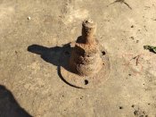 IMG_20180428_091619.jpg