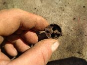IMG_20180428_092015.jpg