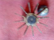 DSC00645.jpg