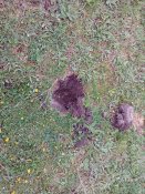 IMG_20180427_105547.jpg