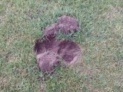 IMG_20180427_105749.jpg