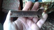 20180425_111228.jpg