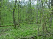 IMG_20180427_093057.jpg