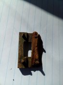 IMG_20180429_111511.jpg