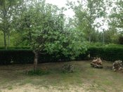 IMG_2265.JPG