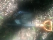 IMG00515.jpg