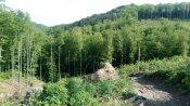 IMG_20180429_095417.jpg