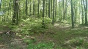 IMG_20180429_120011.jpg