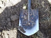 20180429_130900.jpg
