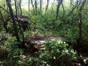 IMG_20180429_160705.jpg