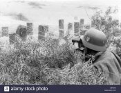 the-nazi-propaganda-picture-shows-a-danzig-ss-home-guard-man-on-duty-E8PE49.jpg