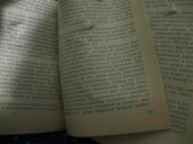 IMG_9226.JPG
