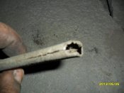 SAM_3919_1.jpg