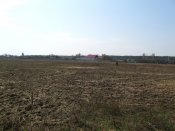 DSC_0010.JPG
