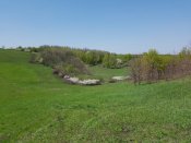 20180430_125223.jpg