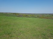 20180430_110235.jpg