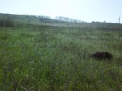 IMG_20180428_080354.jpg